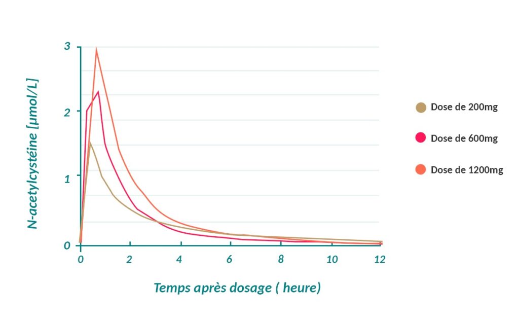 Graphique présentant l'évolution de la concentration en NAC en fonction du temps, avec trois doses différentes (200, 600 et 1200mg).