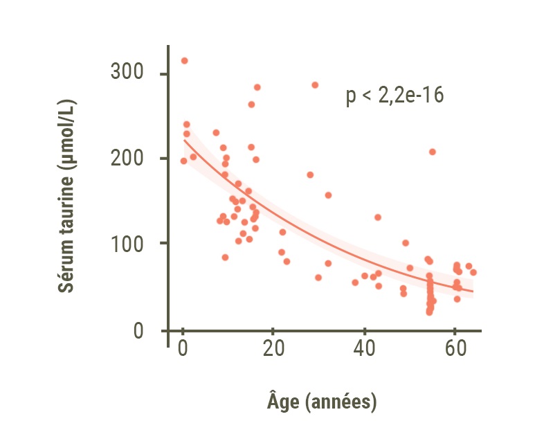 Graphique indiquant l'évolution de la concentration sanguine en taurine en fonction du vieillissement.