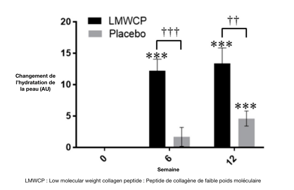Schéma montrant l'effet sur l'hydratation de collagène à bas poids moléculaire après 12 semaines contre placebo, la supplémentation en collagène s'est montré très efficace pour hydrater la peau comparé au placebo. 