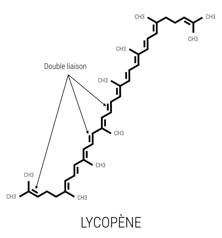 Formule chimique de représentation squelettique du lycopène. Cette molécule contient 40 atomes de carbone et 56 atomes d’hydrogène. Le lycopène présente des insaturations tous les deux carbones lui donnant sa longueur d’onde rouge/orange et ses facultés antioxydantes. 