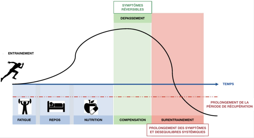 Graphique représentant l'évolution du syndrome de surentrainement, avec le passage par un dépassement de soi qui demande au corps une compensation, avant de sombrer dans le surentrainement et la potentiel arrivée de blessure. 