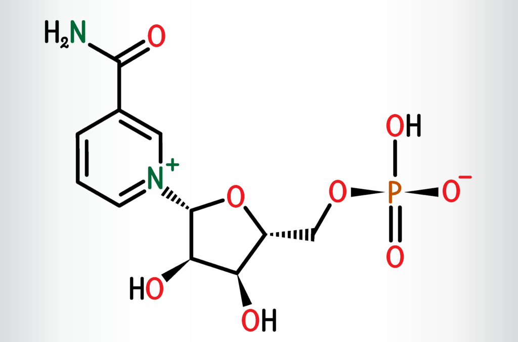 Molécule de nicotinamide mononucléotide.