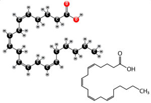 dessin d'une molécule d'acide arachidonique