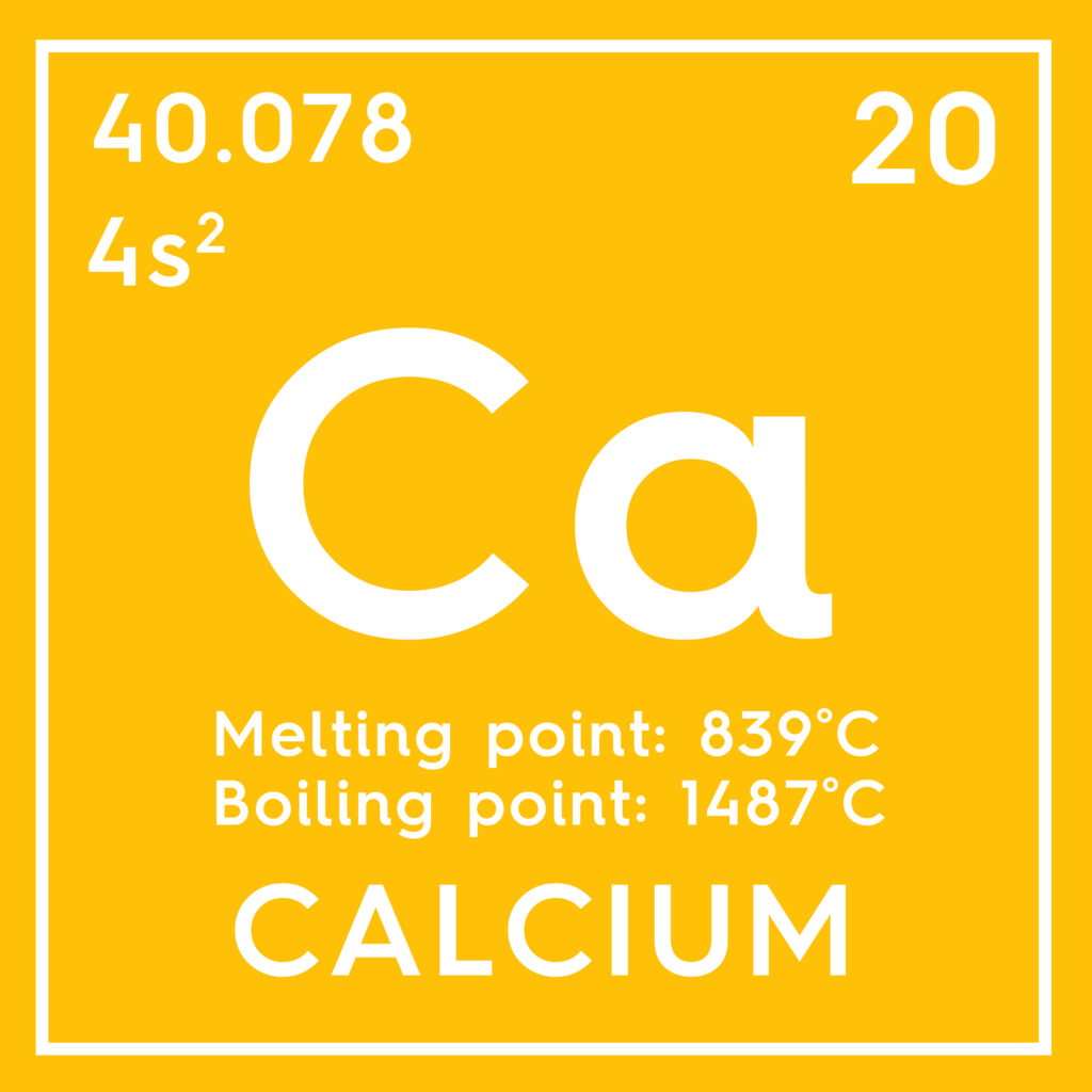 Le calcium de l'eau est très bien absorbé et participe aux apports alimentaires quotidiens