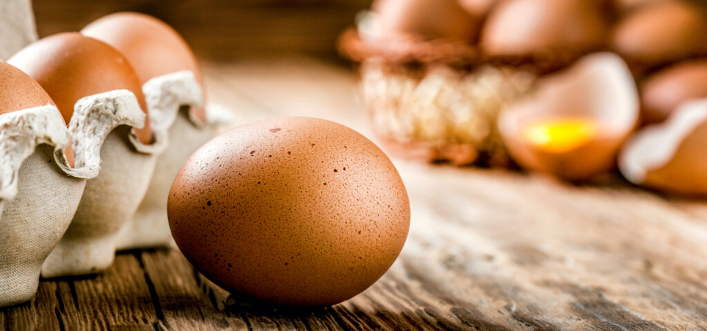 Les œufs contribuent aux apports alimentaires en choline