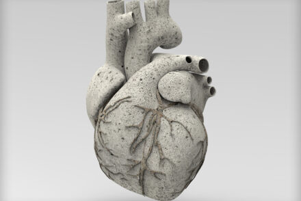 représentation 3D d'un coeur avec une texture de pierre