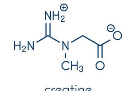 dessin d'une molécule de créatine
