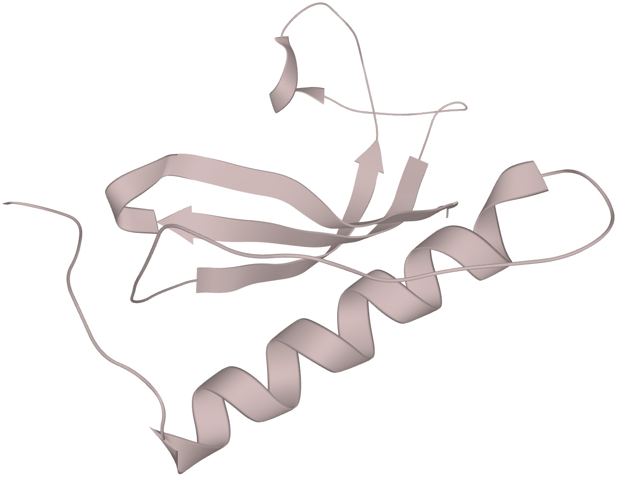 vue 3D d'une molécule de cystatine C