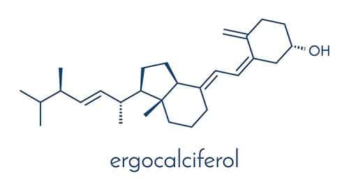 représentation moléculaire de l'ergocalciférol