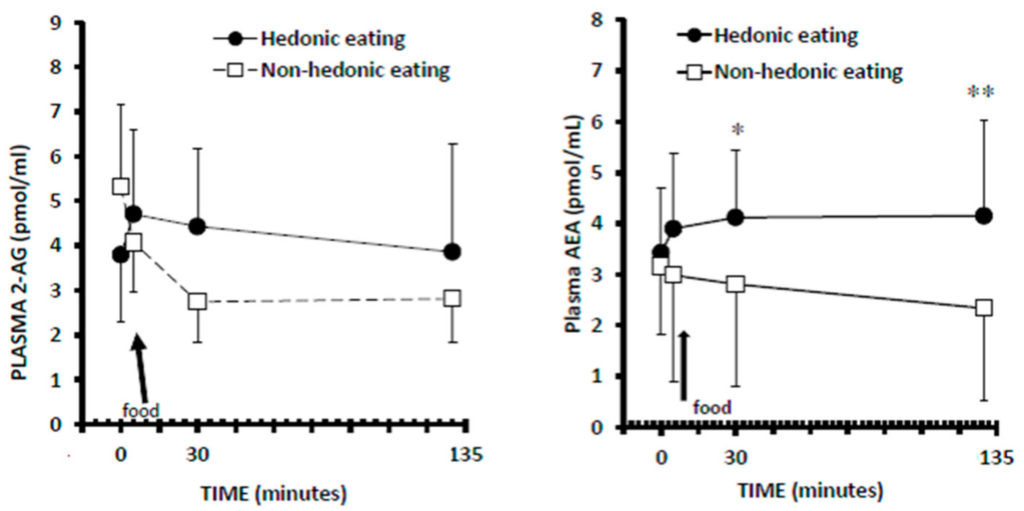 L'évolution du taux d'endocannabinoïdes (2-AG et AEA) est très différente entre une prise alimentaire physiologique ou hédonique