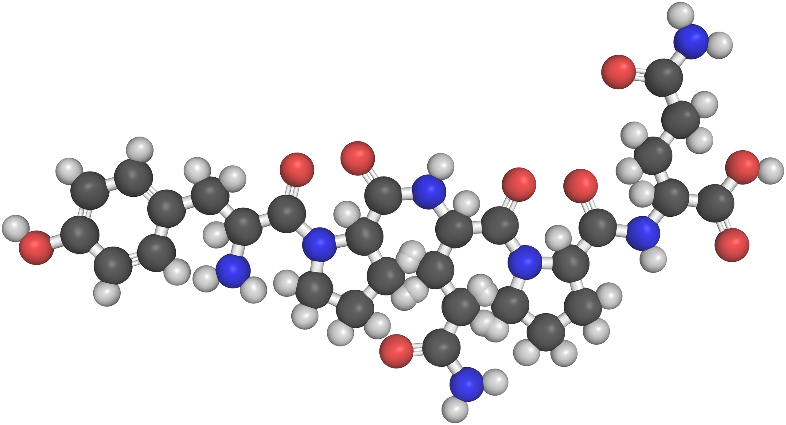 Vue 3D de la structure chimique des gliadines