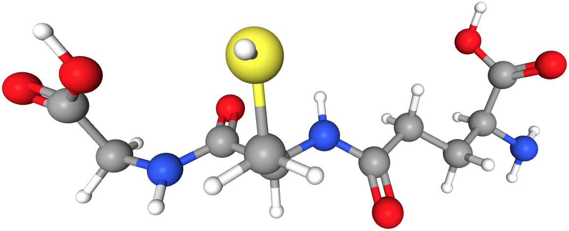Représentation 3D d'une molécule de glutathion
