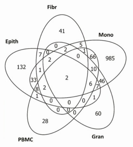 Diagramme représentant le chevauchement partiel des gènes régulés à la hausse par la vitamine D dans 5 types cellulaires.