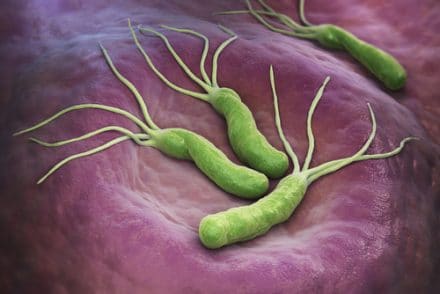 Quelles sont les approches complémentaires contre Helicobacter pylori ?