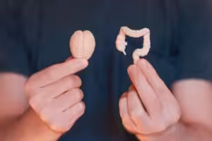 Un homme tient une représentation du cerveau et de l'intestin dans ses mains.