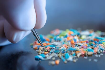 Microplastiques et nanoplastiques : quels effets sur notre santé ?