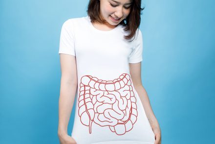 Comment la zonuline contrôle la perméabilité intestinale