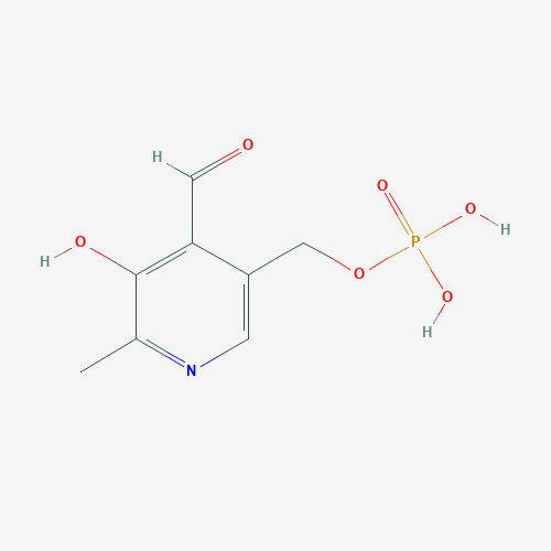 Le phosphate de pyridoxal est la forme biologiquement active de la vitamine B6
