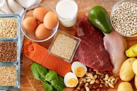 exemples de différents aliments sources de protéines animales