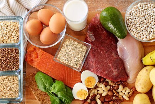exemples de différents aliments sources de protéines animales