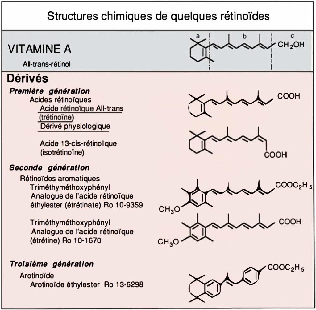 Les vitamères de la vitamine A comprennent divers dérivés du rétinol