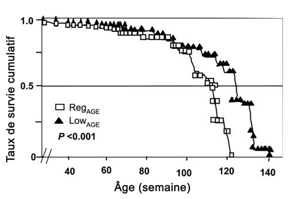 Graphique représentant le taux de survie de souris recevant une alimentation normale ou appauvrie en AGEs. 