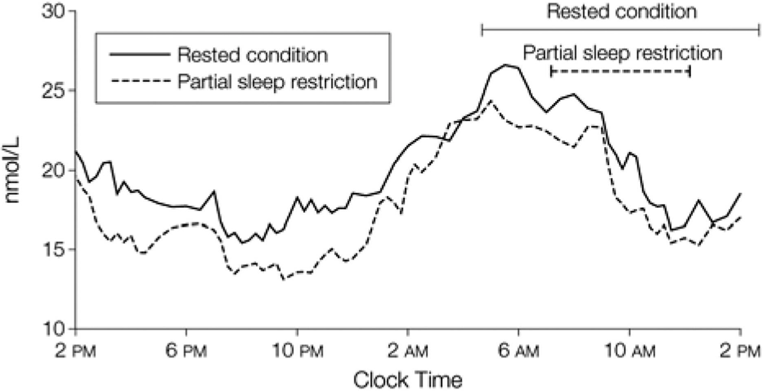 Impact de la restriction de sommeil sur la sécrétion de testostérone