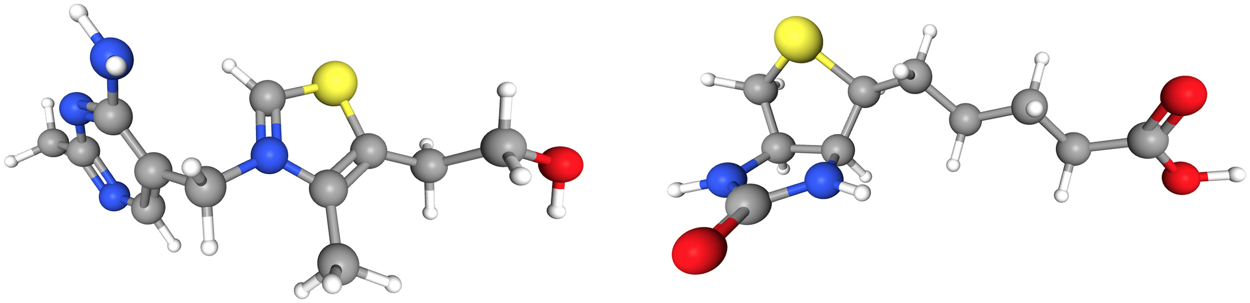 Représentation 3D de thiamine et de biotine