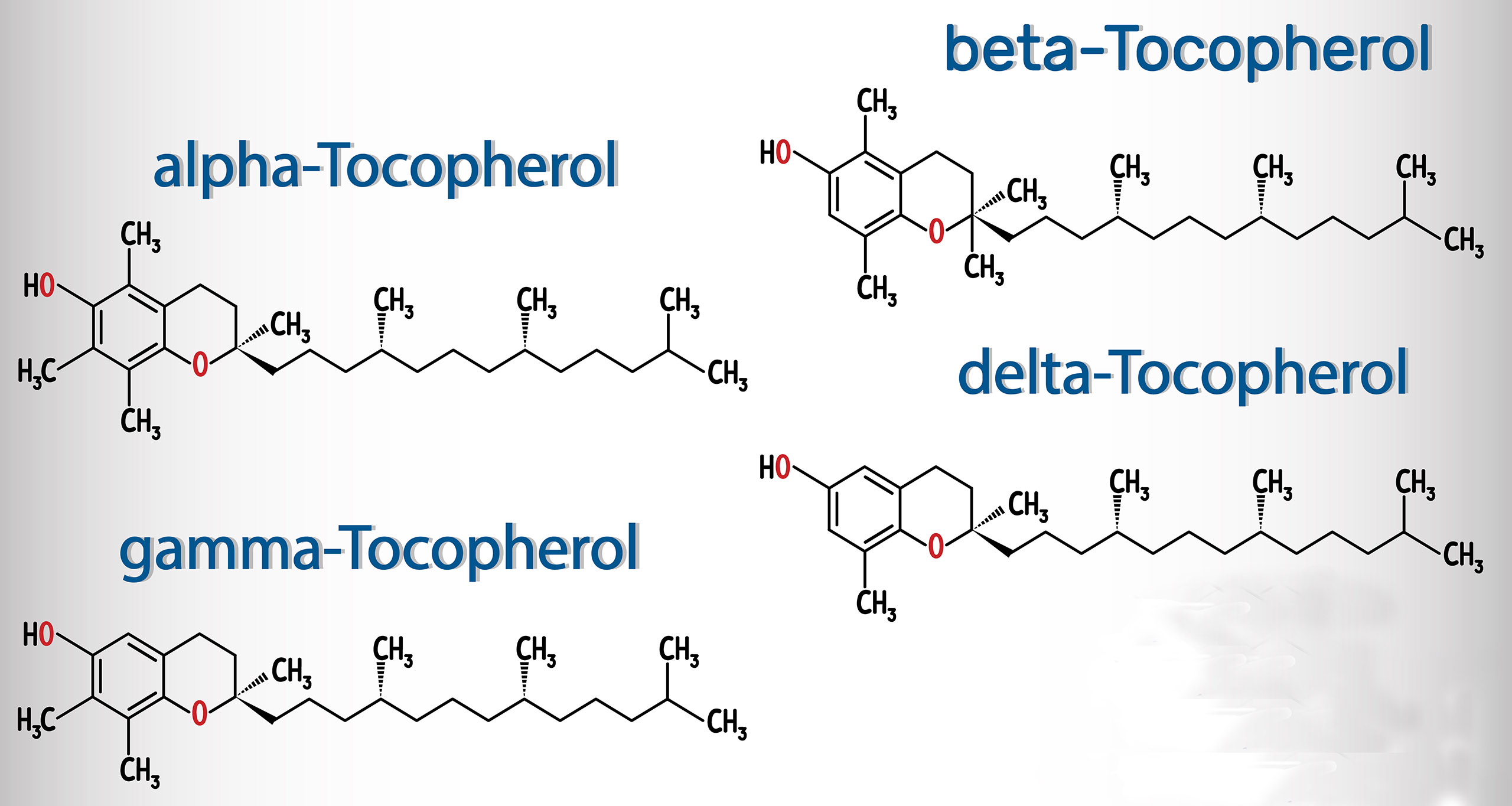 dessin des quatre tocophérols : alpha-tocophérol, bêta-tocophérol, gamma-tocophérol et delta-tocophérol