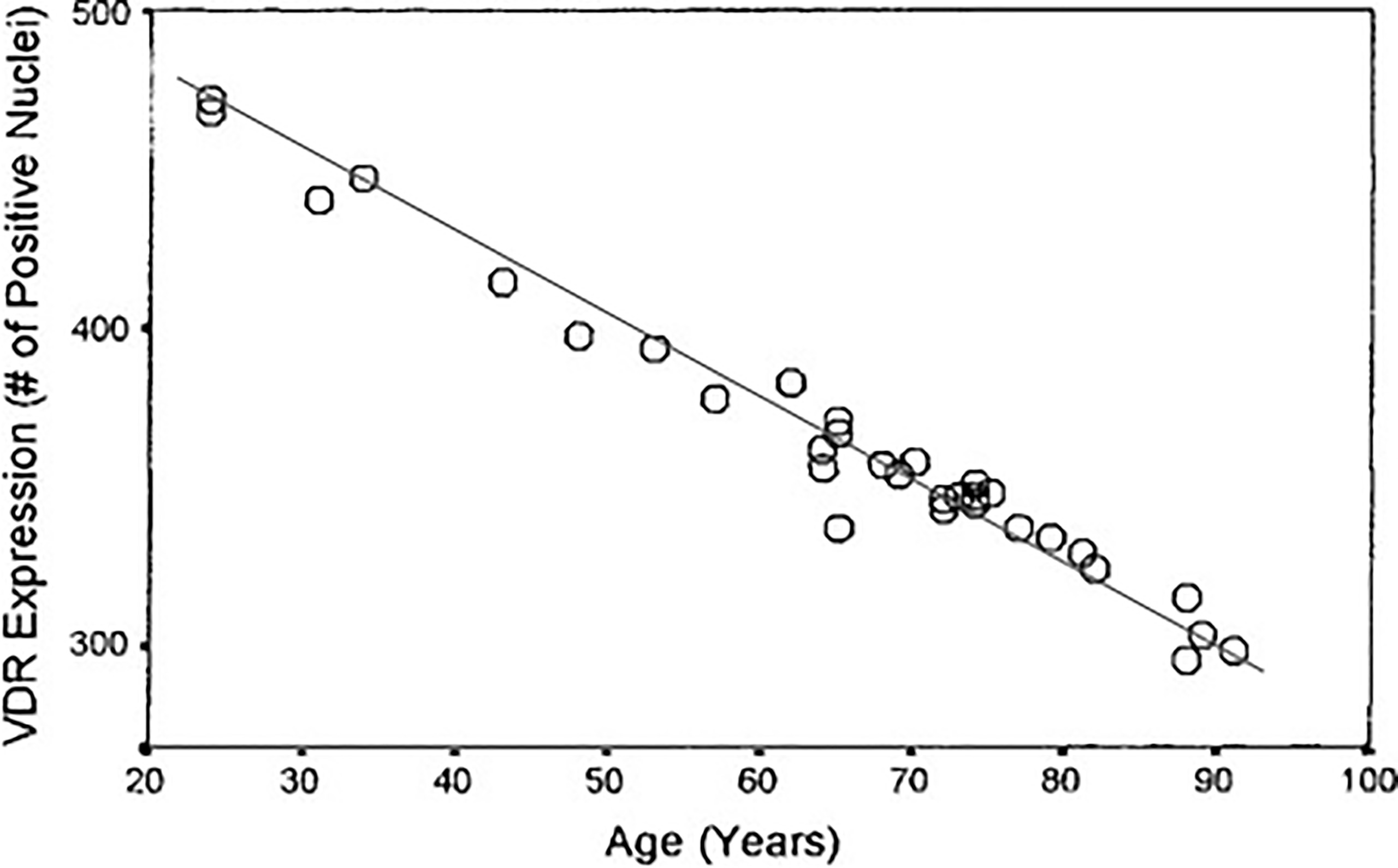 déclin des récepteurs à la vitamine D avec le vieillissement